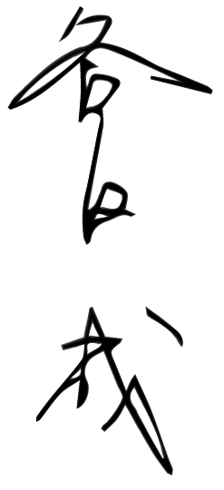 Naru Taniguchi / 谷口 成